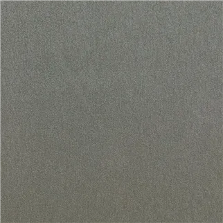 silvretta platinum